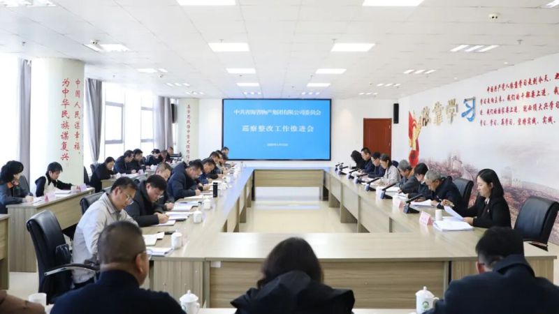 集团党委召开巡察整改工作推进会
