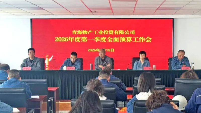 工投公司召开一季度预算执行情况分析会