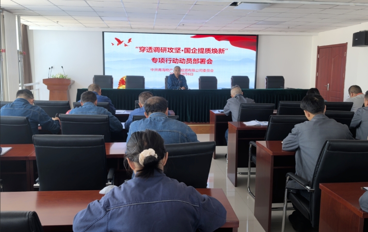 工投公司党委召开&ldquo;穿透调研攻坚&middot;国企提质焕新&rdquo;专项行动动员部署会