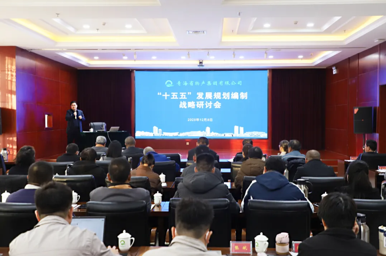 聚势谋远 破局立新&mdash;&mdash;集团召开&ldquo;十五五&rdquo;发展规划编制战略研讨会