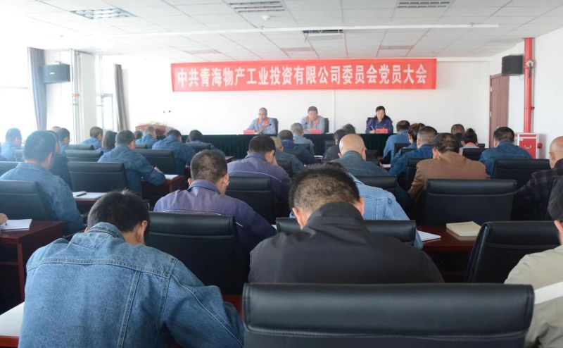 实干担当拼搏赶超 为夺取新时代物产工投绿色低碳高质量发展新胜利不懈奋斗 &mdash;&mdash;物产工投公司党委召开换届选举大会