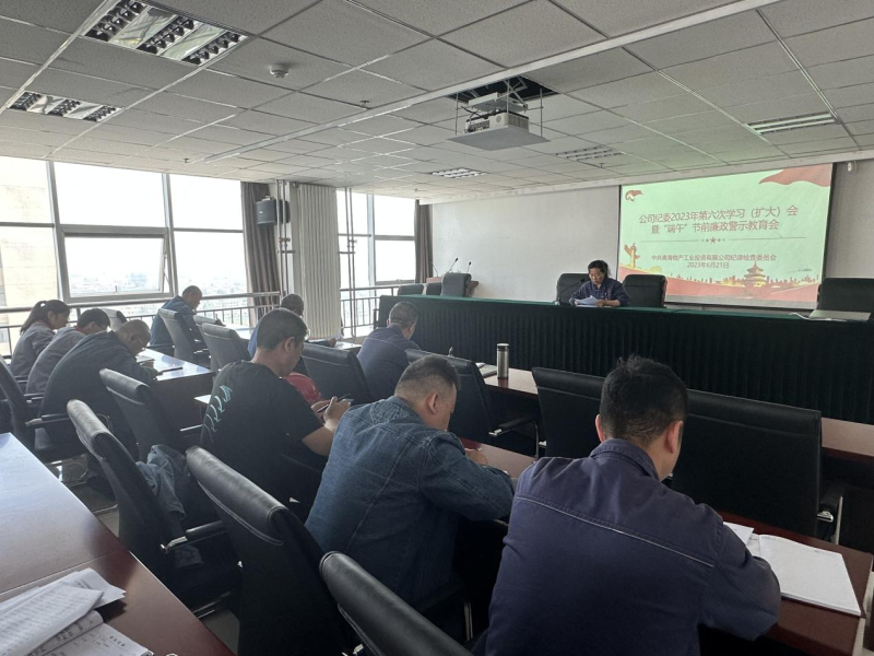 公司纪委召开2023年第六次学习（扩大）会暨&ldquo;端午&rdquo;节前廉政警示教育会